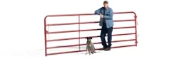 一名男子斜靠在红色栅栏上，他的狗坐在他旁边.